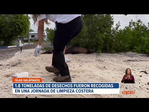 1.8 toneladas de desechos fueron recogidas en una jornada de limpieza costera en Galápagos