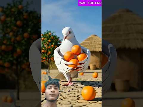 The Girl who followed the thief 😱 #ai #pigeon #girl