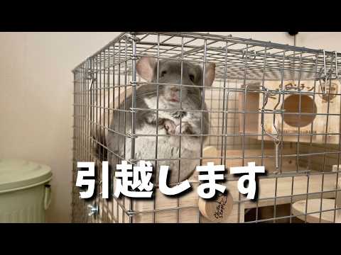 豪邸に引越します