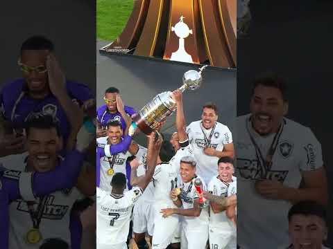 image para ilustrar o artigo