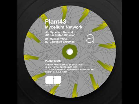 Plant43 -- Mycelium Network