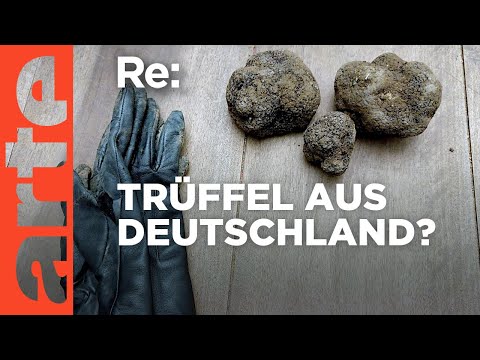 Trüffelland Deutschland | ARTE Re: