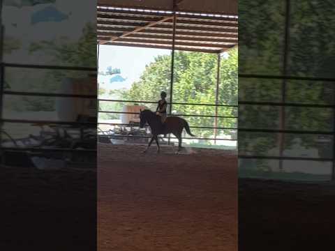 walk to canter bareback?? #horse #horseriding #equestrianriding #riding #horsebackriding #pony