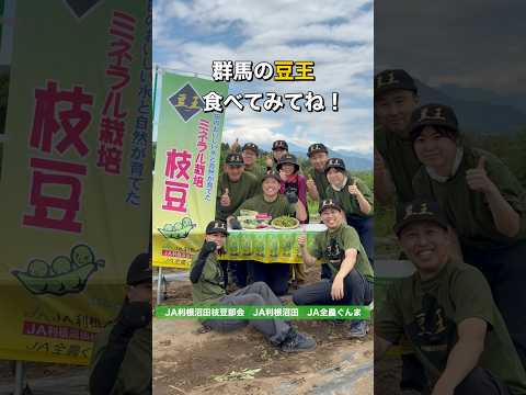 群馬の高級枝豆“豆王”を最高に味わう方法、伝授します! #pr