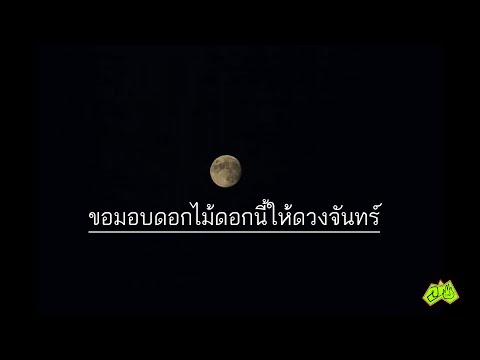 ขอมอบดอกไม้ดอกนี้ให้ดวงจันทร์