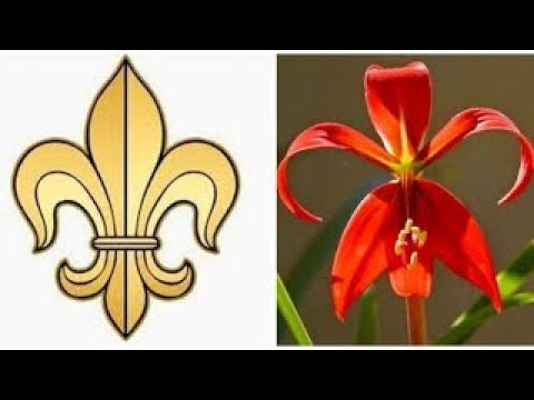 Signos y Símbolos en el Arte Cristiano - Flores, Árboles y Plantas 2a Parte