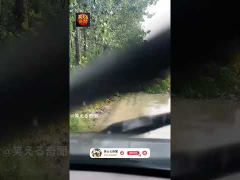 笑ってごめんね🤣#shorts