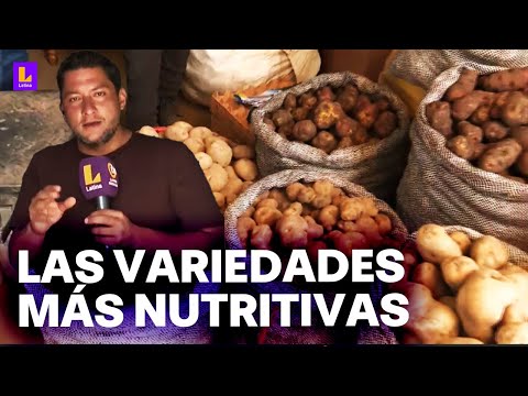 Conoce las variedades de papa en Junín, Perú: Uno de los productos más nutritivos