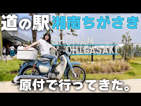 道の駅湘南ちがさきをオープン当日に訪問!勝手にレビュー!
