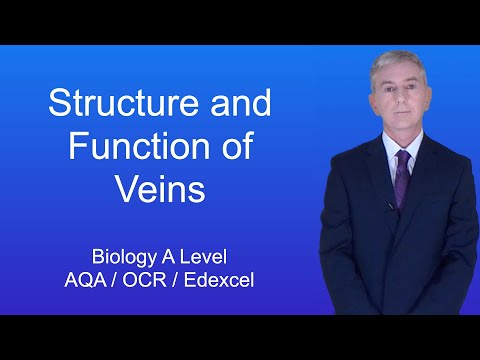 A Level Biology Revision “The Structure and Function of Veins”