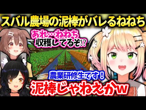 ホロ農業の闇!?研修生として潜入しながら作物を盗むねねちミオしゃころねにバレ逃亡【桃鈴ねね/ホロライブ】