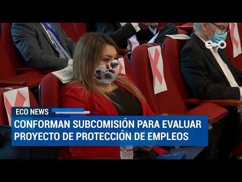 Conforman subcomisión para evaluar proyecto de protección de empleos | ECO News