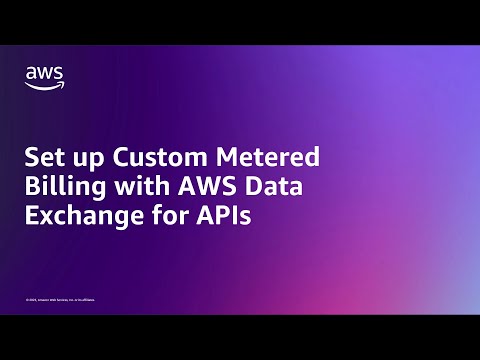Set up Custom Metered Billing with AWS Data Exchange for APIs | Amazon Web Services