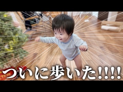 モネが家を壊してレイと本気で喧嘩し、レイが歩くチャレンジの途中でダンスの才能に目覚めた1日!!!!!!!!!!!!!!!!!!!!!!!!!