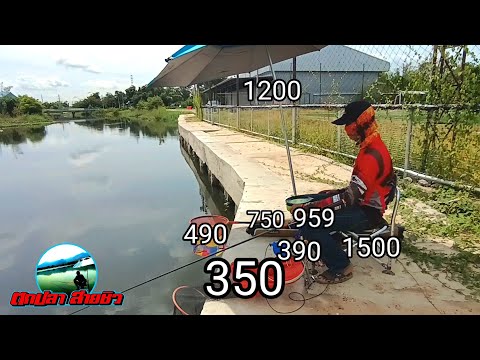อุปกรณ์ชิงหลิว-ราคากี่บาท-ของม อุปกรณ์ชิงหลิว-ราคากี่บาท-ของม