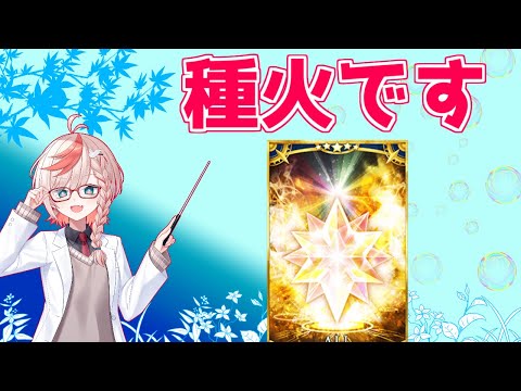 【#FGO】水着より種火でした【カルデア･Ｕ－サマーアイランド 水着2025】【FGOの質問あれば答えます】