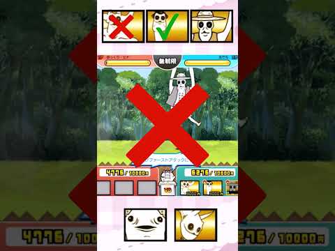猫の動画サムネイル - 【伝説のネコルガ族】アタタタアシランは勝てる？