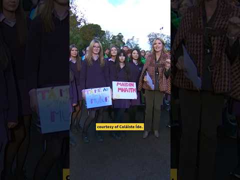 The Students at Coláiste Íde Give An Irish Language Lesson