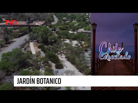 Jardín botánico nativo | Chile Conectado