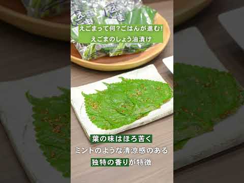 【激うまレシピ】ごはんが進む!えごまのしょう油漬け
