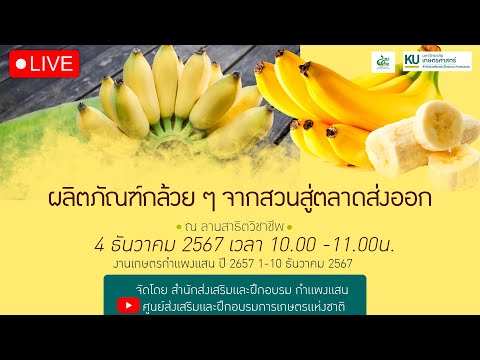 LIVE:ผลิตภัณฑ์กล้วยๆจากสวน