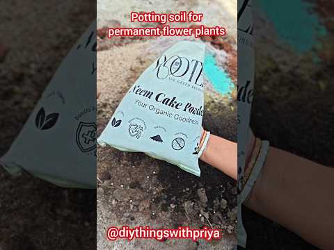 Potting Mix for Permanent flower Plants / पौधे के लिए पॉटिंग मिश्रण #shorts #pottingsoil #garden