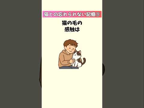 猫との思い出25選｜愛と感動をふり返る宝物のエピソード サムネイル