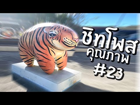 ชิทโพสเค็มๆ23|RedditReview