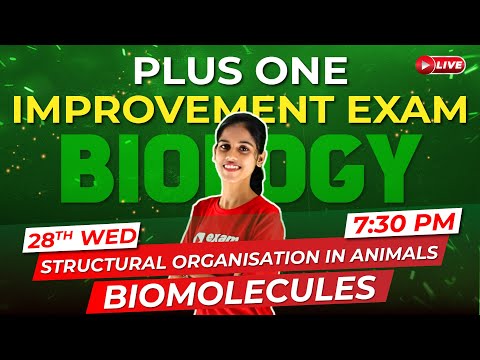 Plus One Improvement Exam|Biology| Structural Orrganisation in Animals | Biomolecules |Exam Winner