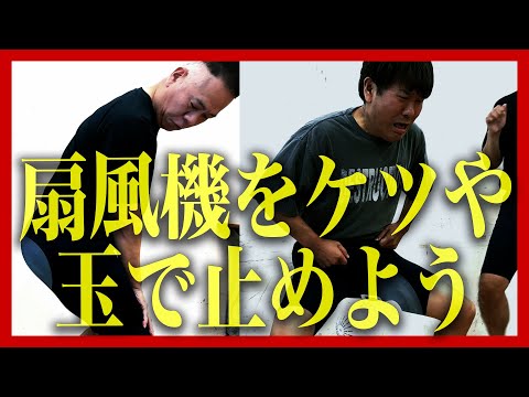 【意味不明】ケツやタマで扇風機を止めたい【This is FUJIWARA】