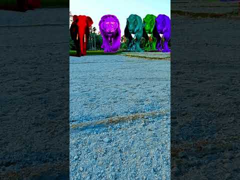 Big dinosaur Chase t-rex chasing part-253#shorts #youtube #dinosaur #viralvideo