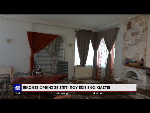 Ανατολική Αττική: Εικόνες φρίκης σε σπίτι που είχε ενοικιαστεί