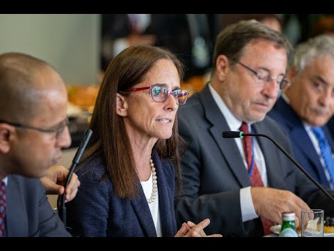 UNDP's Linda Maguire speaks during the 2024 UN HLPF