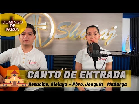 CANTO DE ENTRADA - Resucito, Aleluya | SHAJAJ Ministerio Católic.