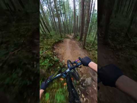 The perfect trail does exist!