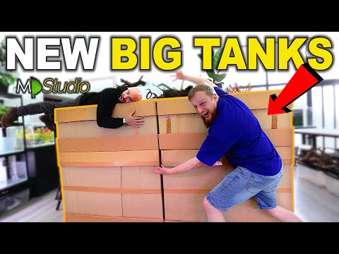 BIG SPECIAL Tanks Arrive In The MD Studio! (Amazin Thanks for watching. Love you guys!

👇👇MD MERCH CLICK HERE👇👇: 
FULL SHOP_ https_//md-fis
