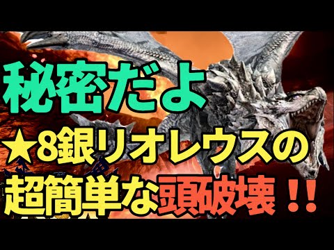 【モンハンNow】これでOK！！☆8銀リオレウスの頭破壊、秋森式の弓と睡眠ライトボウガン【ランク285】