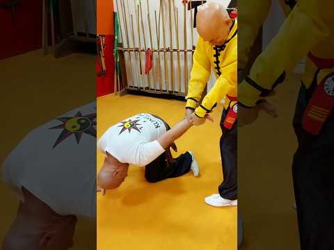 TSKF Kung Fu Equilíbrio em todos os sentidos #tskf #kungfu #chikung #artemarcial #defesapessoal