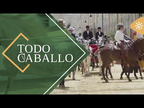 TodoCaballo | Descubrimos dónde se retiran las leyendas y la Feria del Caballo de Jerez desde dentro