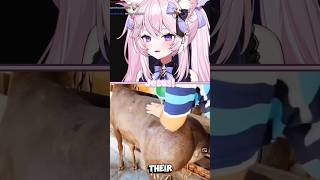 Nyanners Reacts to Fat Tailed Sheep 🐑🍑