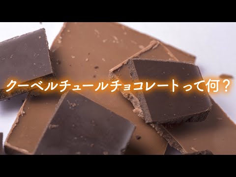 【パティシエの味】使うだけで仕上がりが変わる本格チョコレート【ママパティシエが教えるお菓子のコツ】