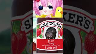 WHAT DID THEY DO TO MOODENG?! #shorts #chibidoki #vtuber