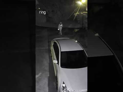 A stranger attempts to break into a car but is deterred by the Floodlight Cam 🔦