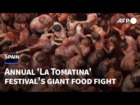 Thousands take part in annual Spanish tomato fight festival | AFP