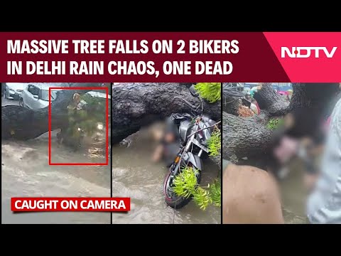 Delhi Rain | On Camera: Massive Tree Uprooted, Crashes Onto 2 Bikers In Delhi Rain Chaos, One Dead