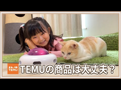 【激安】怪しい通販サイト「TEMU」で猫グッズを買ったらカオスだった