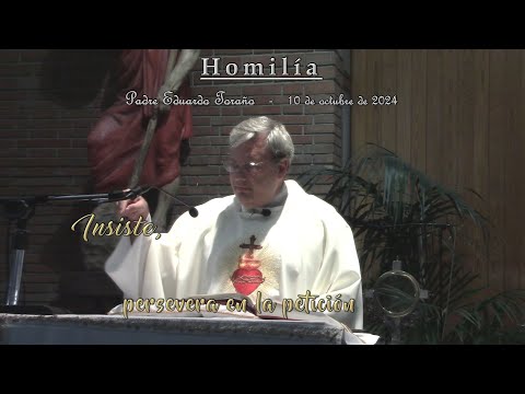 Homilía 2024-10-10 Insiste, persevera en la petición  ~  Padre Eduardo Toraño