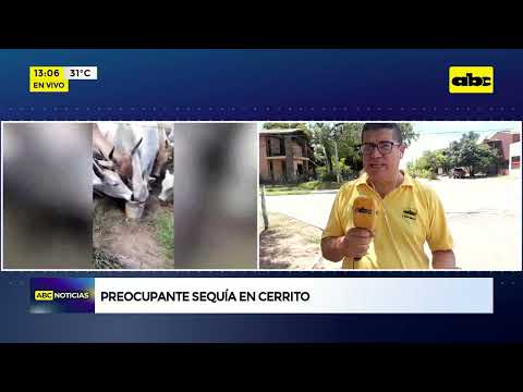 Preocupante sequía en Cerrito