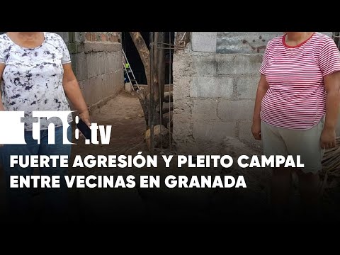 Mujeres envueltas en terrible pleito vecinal de Granada