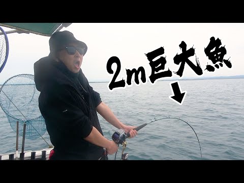 巨大アジをエサにして、泳がせ釣りをしたらとんでもない魚がかかりました！！！